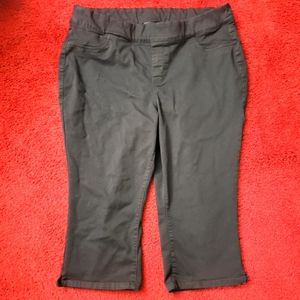 Lane Bryant Pull-On Capri Pant